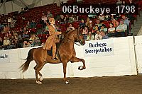 06buckeye_1798 proof