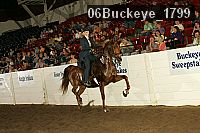 06buckeye_1799 proof