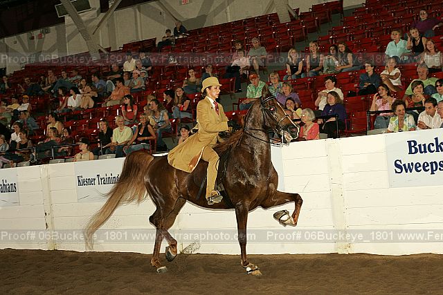 Proof 06buckeye_1801