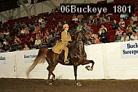 06buckeye_1801 proof