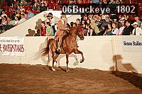 06buckeye_1802 proof