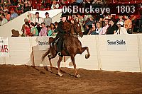 06buckeye_1803 proof
