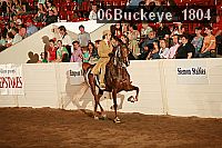 06buckeye_1804 proof