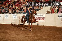 06buckeye_1806 proof