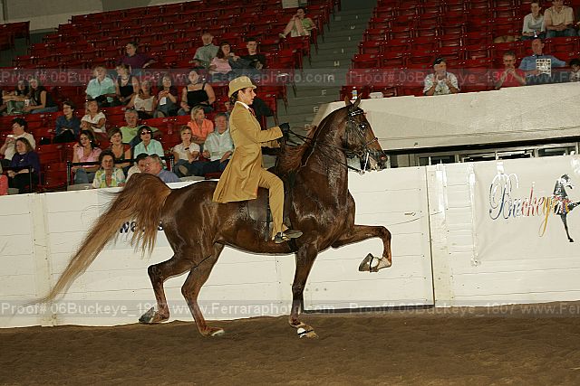 Proof 06buckeye_1807