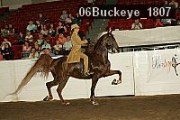 06buckeye_1807 proof