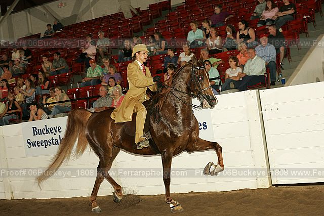 Proof 06buckeye_1808