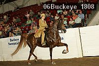 06buckeye_1808 proof