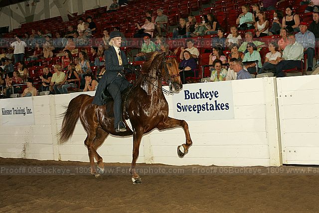 Proof 06buckeye_1809