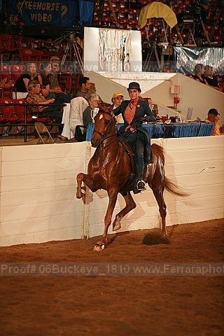 Proof 06buckeye_1810