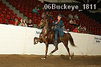 06buckeye_1811 proof