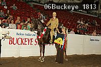 06buckeye_1813 proof