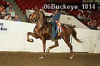 06buckeye_1814 proof