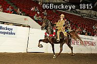 06buckeye_1815 proof