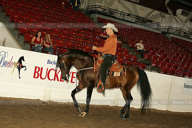 Proof 06buckeye_1817