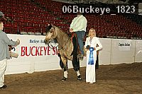 06buckeye_1823 proof