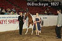 06buckeye_1827 proof
