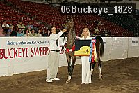 06buckeye_1828 proof