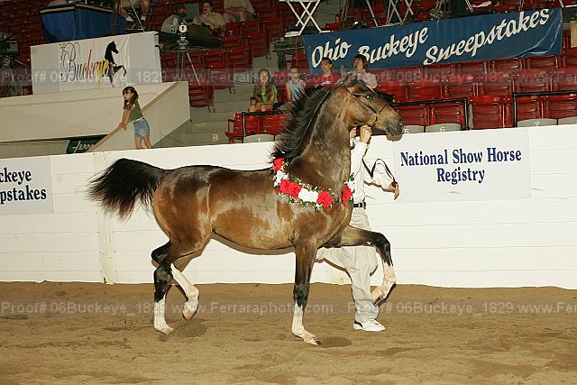 Proof 06buckeye_1829