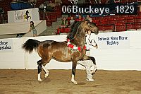 06buckeye_1829 proof