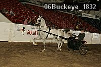 06buckeye_1832 proof