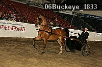 06buckeye_1833 proof