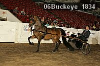 06buckeye_1834 proof