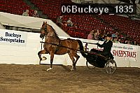 06buckeye_1835 proof