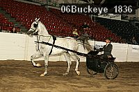 06buckeye_1836 proof