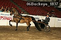 06buckeye_1837 proof