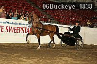06buckeye_1838 proof
