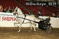 06buckeye_1839 proof