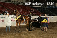 06buckeye_1840 proof
