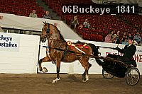 06buckeye_1841 proof