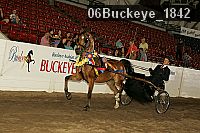 06buckeye_1842 proof