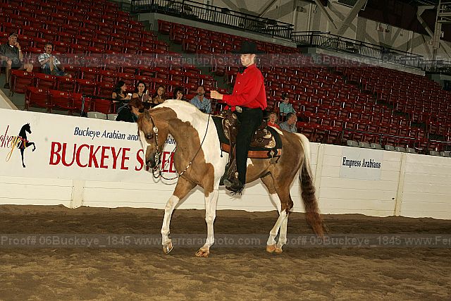Proof 06buckeye_1845