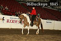 06buckeye_1845 proof
