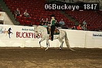 06buckeye_1847 proof