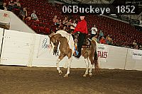 06buckeye_1852 proof