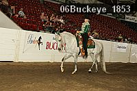 06buckeye_1853 proof