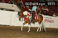 06buckeye_1855 proof