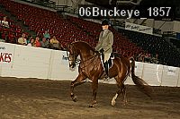 06buckeye_1857 proof