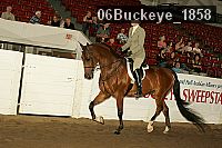 06buckeye_1858 proof