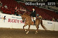 06buckeye_1859 proof