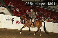 06buckeye_1861 proof