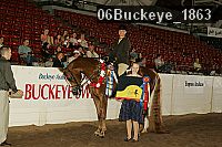 06buckeye_1863 proof