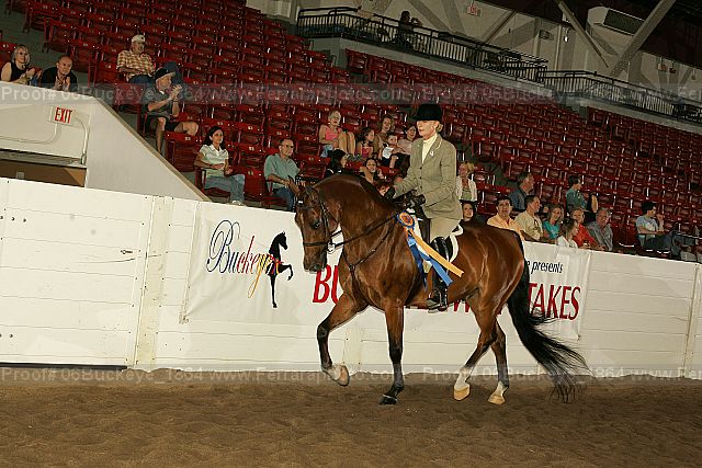 Proof 06buckeye_1864