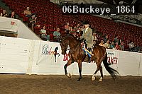 06buckeye_1864 proof