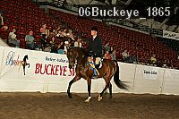 06buckeye_1865 proof