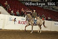 06buckeye_1866 proof
